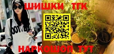 тгк Гай
