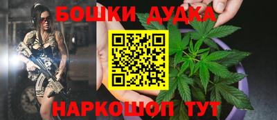 тгк Гай