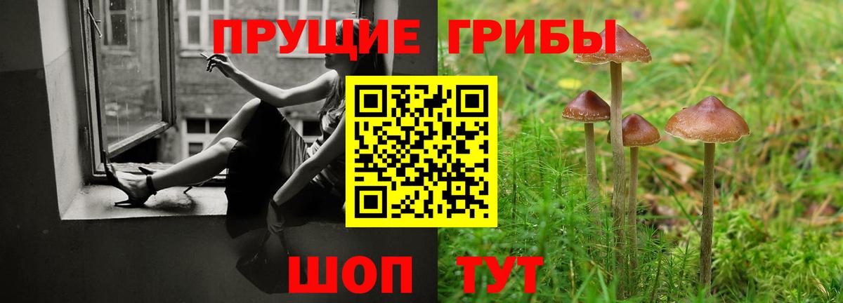 как найти   Галлюциногенные грибы Psilocybine cubensis  Вход с VPN  Галлюциногенные грибы Magic Shrooms  Мыски 